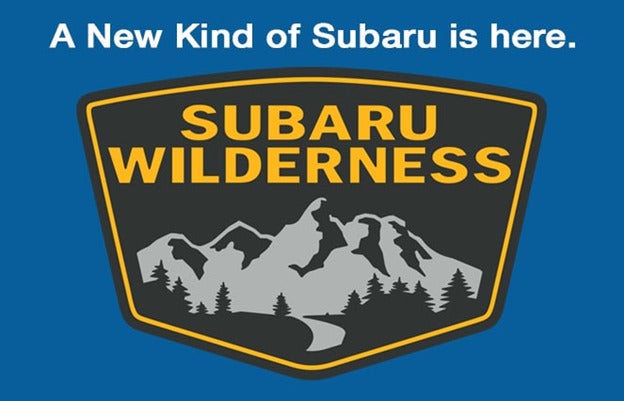 Subaru Wilderness | Bergstrom Subaru Green Bay in Green Bay WI